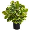 2ft. Rubber Plant In Glossy Cylinder -Michaels D293831S 11