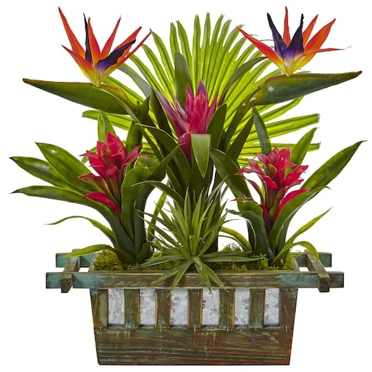 19" Bird Of Paradise & Bromeliad In Wooden Planter 3 19" Bird Of Paradise & Bromeliad In Wooden Planter