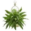 19" Boston Fern Plant In Decorative Cage -Michaels D293837S 1