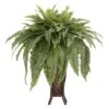 3ft. Boston Fern Plant In Stand -Michaels D293838S 11