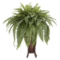 3ft. Boston Fern Plant In Stand