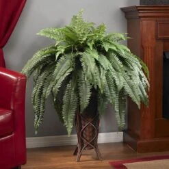 3ft. Boston Fern Plant In Stand -Michaels D293838S 13