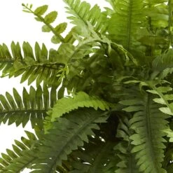 20" Boston Fern Plant In Decorative Planter -Michaels D293839S 12