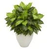 2.5ft Dumb Cane Plant In White Planter -Michaels D293860S 11
