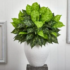 2.5ft Dumb Cane Plant In White Planter -Michaels D293860S 13