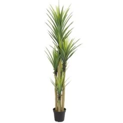 7ft. Potted Dracaena Tree 7 7ft. Potted Dracaena Tree -Michaels D293871S 11 1