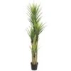 7ft. Potted Dracaena Tree -Michaels D293871S 11