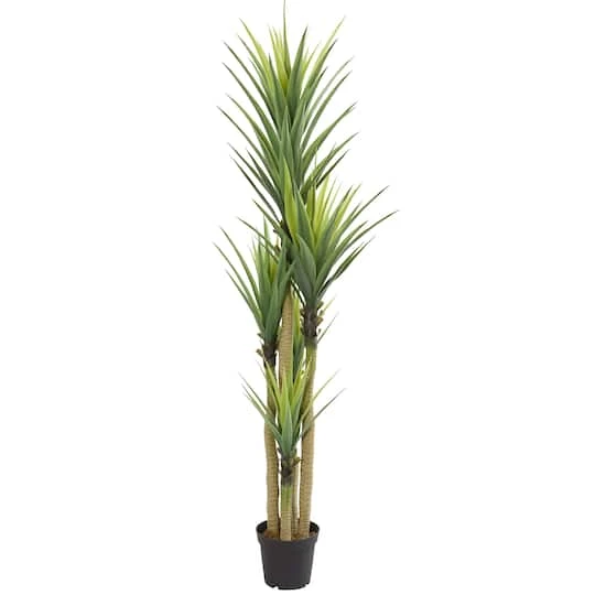 7ft. Potted Dracaena Tree 3 7ft. Potted Dracaena Tree
