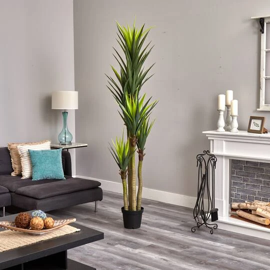 7ft. Potted Dracaena Tree 6 7ft. Potted Dracaena Tree - Image 4