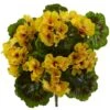 Yellow Geranium Bush, 4ct. -Michaels D293879S 11