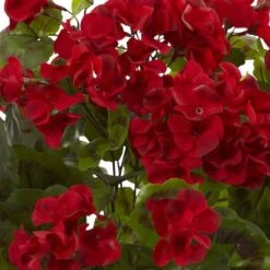 Red Geranium Bush, 3ct. -Michaels D293880S 2