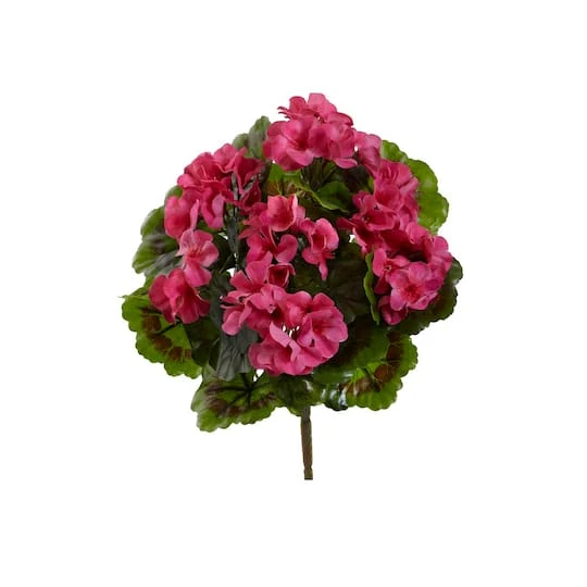 Pink Geranium Bush, 4ct. 3 Pink Geranium Bush, 4ct.