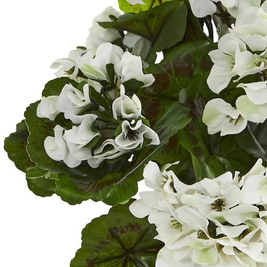 White Geranium Bush, 3ct. 6 White Geranium Bush, 3ct. - Image 4