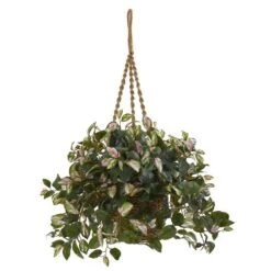 2.5ft. Hoya Plant In Hanging Basket -Michaels D293900S 1 1