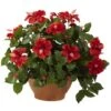 20" Red Hibiscus Plant With Clay Planter -Michaels D293901S 11
