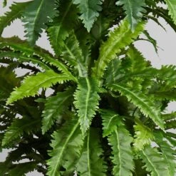 4ft. Marginatum In White Tower Vase -Michaels D293909S 15