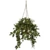 16" Mixed Madagascar Jasmine In Hanging Basket -Michaels D293921S 1