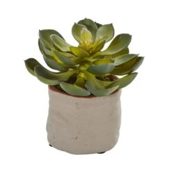 6" Potted Mixed Succulent Plants, 4ct. 12 6" Potted Mixed Succulent Plants, 4ct. -Michaels D293923S 12