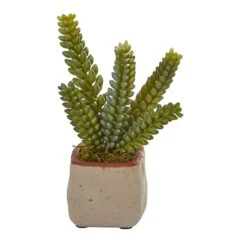 6" Potted Mixed Succulent Plants, 4ct. 13 6" Potted Mixed Succulent Plants, 4ct. -Michaels D293923S 13