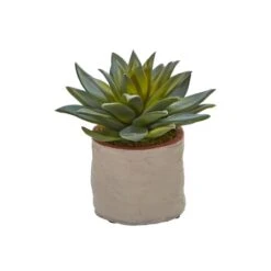 6" Potted Mixed Succulent Plants, 4ct. 14 6" Potted Mixed Succulent Plants, 4ct. -Michaels D293923S 14