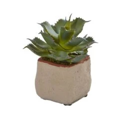 6" Potted Mixed Succulent Plants, 4ct. 15 6" Potted Mixed Succulent Plants, 4ct. -Michaels D293923S 15