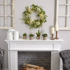 6" Potted Mixed Succulent Plants, 4ct. 17 6" Potted Mixed Succulent Plants, 4ct. -Michaels D293923S 17