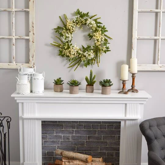 6" Potted Mixed Succulent Plants, 4ct. 10 6" Potted Mixed Succulent Plants, 4ct. - Image 8