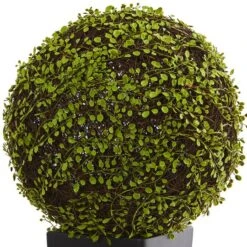 2.5ft. Mohlenbechia Ball In Black Tower Vase 17 2.5ft. Mohlenbechia Ball In Black Tower Vase -Michaels D293925S 12