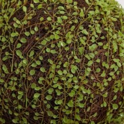 2.5ft. Mohlenbechia Ball In Black Tower Vase 20 2.5ft. Mohlenbechia Ball In Black Tower Vase -Michaels D293925S 15