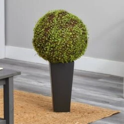 2.5ft. Mohlenbechia Ball In Black Tower Vase 26 2.5ft. Mohlenbechia Ball In Black Tower Vase -Michaels D293925S 20