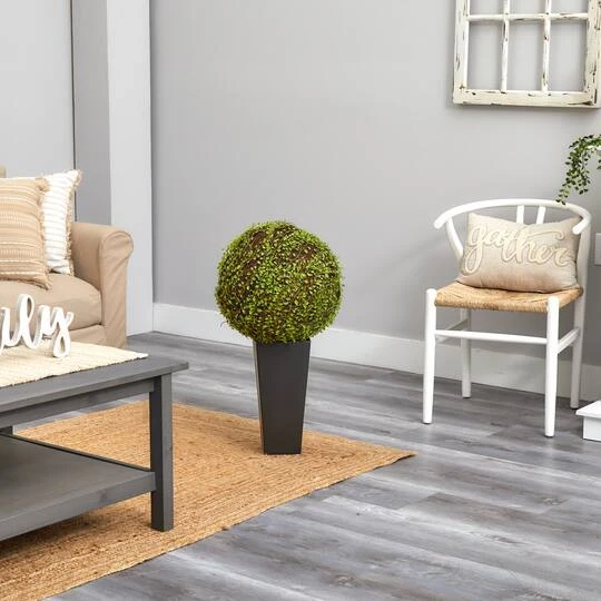 2.5ft. Mohlenbechia Ball In Black Tower Vase 15 2.5ft. Mohlenbechia Ball In Black Tower Vase - Image 13