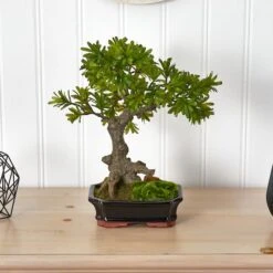 14" Plum Pine Bonsai In Ceramic Planter -Michaels D293940S 13