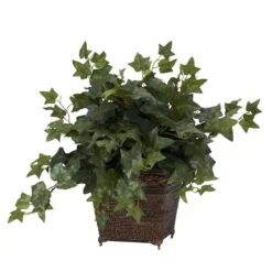 17" Puff Ivy Plant In Coiled Rope Planter