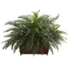 2.5ft. River Fern In Wood Planter -Michaels D293951S 11