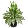Silver Queen & Grass Plant In Black Vase -Michaels D293955S 1