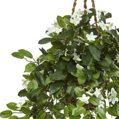 3.5ft. Stephanotis Flowering Plant In Hanging Basket -Michaels D293960S 12