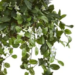 3.5ft. Stephanotis Flowering Plant In Hanging Basket -Michaels D293960S 13