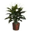 4ft. Peace Lily Plant In Wood Vase -Michaels D293961S 11