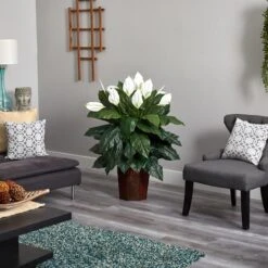 4ft. Peace Lily Plant In Wood Vase -Michaels D293961S 13