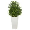 2.75ft. Sweet Grass Plant In White Tower Planter -Michaels D293965S 11