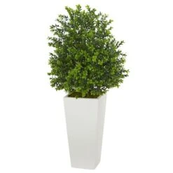 2.75ft. Sweet Grass Plant In White Tower Planter