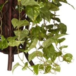 3ft. Vining Mixed Greens Plant In Decorative Stand -Michaels D293974S 13