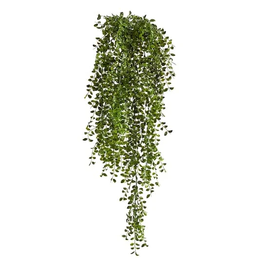 3ft. Potted Honey Locust Bush Plant, 2ct. 4 3ft. Potted Honey Locust Bush Plant, 2ct. - Image 2