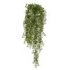 3ft. Potted Honey Locust Bush Plant, 2ct. -Michaels D293979S 11
