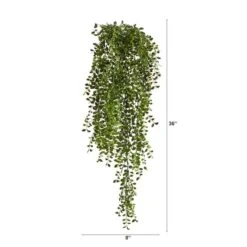 3ft. Potted Honey Locust Bush Plant, 2ct. 8 3ft. Potted Honey Locust Bush Plant, 2ct. -Michaels D293979S 12