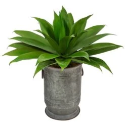 2ft. Agave Plant In Vintage Metal Planter