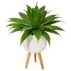 2.5ft. Agave Plant In White Planter With Stand -Michaels D293998S 1