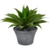 22" Agave Succulent Plant In Gray Planter -Michaels D294000S 1