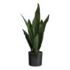 22" Potted Snake Plant -Michaels D294005S 1
