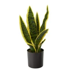 14" Potted Variegated Snake Plant -Michaels D294010S 1 1